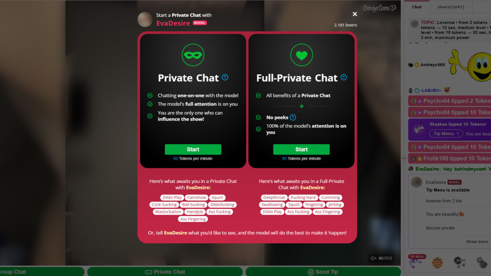 Bongacams private chat model room